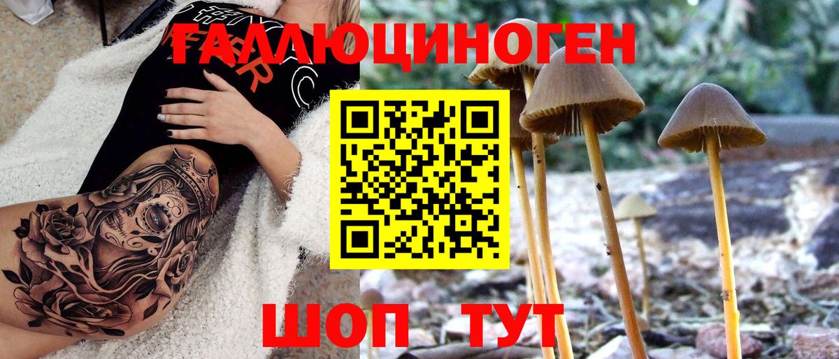 наркотики  Псилоцибиновые грибы мицелий  Вход с VPN  Псилоцибиновые грибы мухоморы  Сосновый Бор 